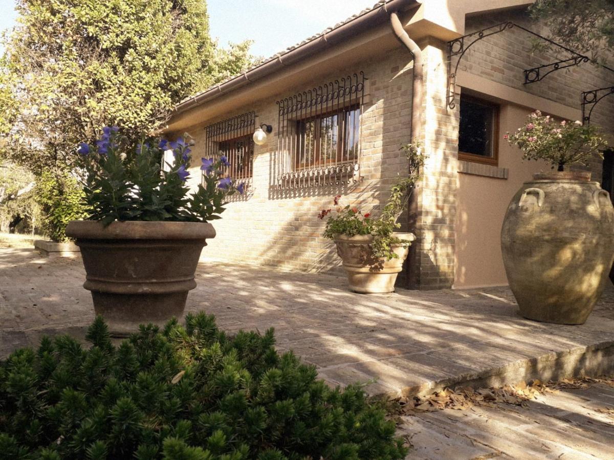 דירות SantʼElpidio a Mare Casa Sabbatini מראה חיצוני תמונה