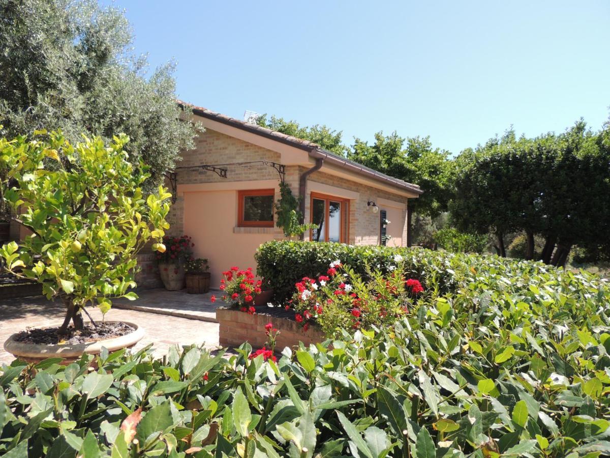 דירות SantʼElpidio a Mare Casa Sabbatini מראה חיצוני תמונה