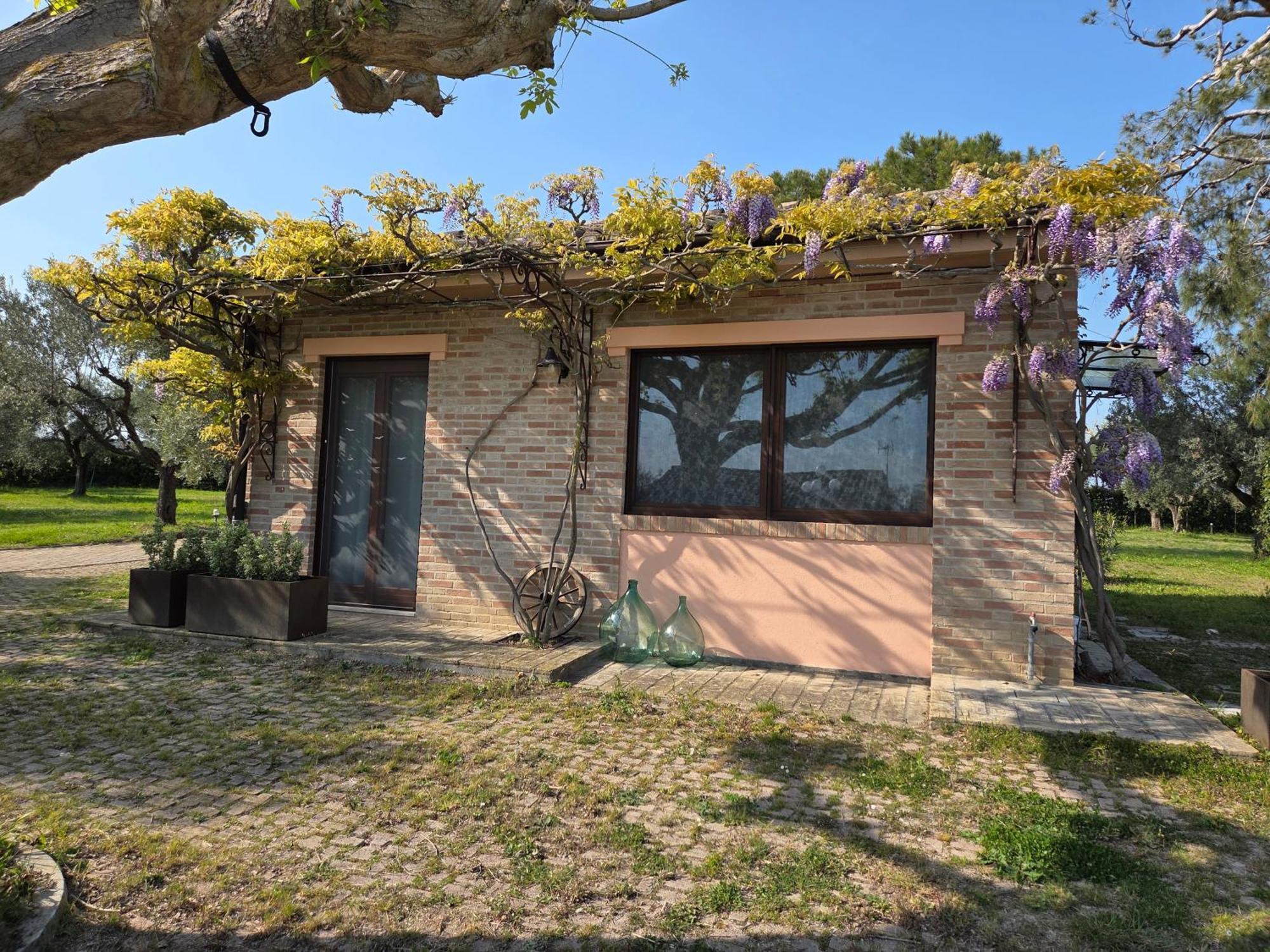 דירות SantʼElpidio a Mare Casa Sabbatini מראה חיצוני תמונה